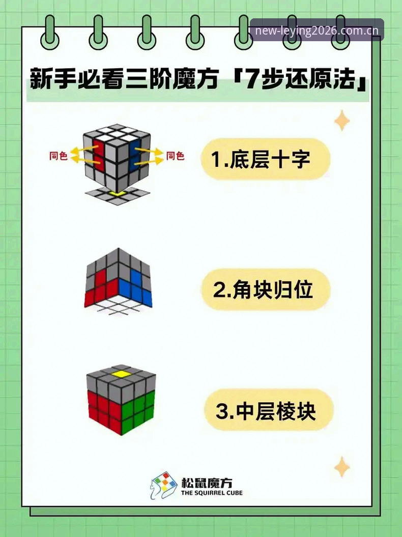 乐盈官网教程 新手必看:乐盈官网教程到底有多简单?老用户手把手带你走一遍