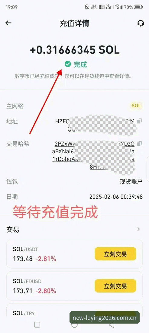 为什么乐盈最新版本安卓版能成为新手首选？从下载到注册的全流程解析