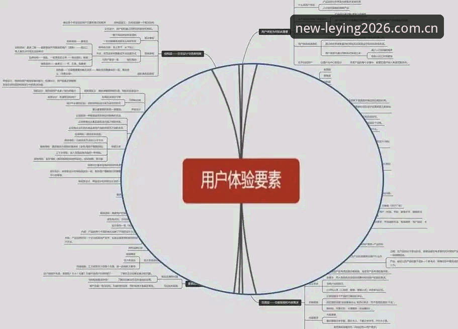 乐盈流畅稳定哪个好？实战派用户深度分析：从下载到体验的全面解析